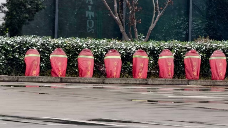 1769051987237549.jpg 1.jpg